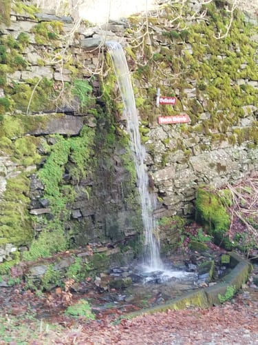Eifelsteig Etappe 3: Monschau - Einruhr