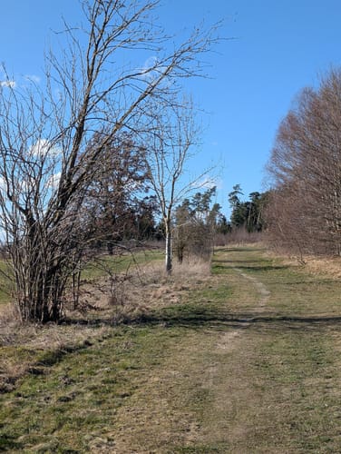 Wald Schloss-Route
