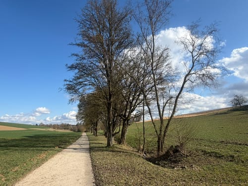 Besinnungspfad Bad Rappenau