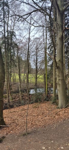 Liekwegen - Bückeberg