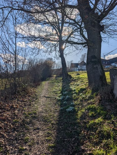 Wald Schloss-Route