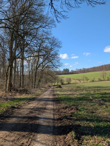 Wald Schloss-Route