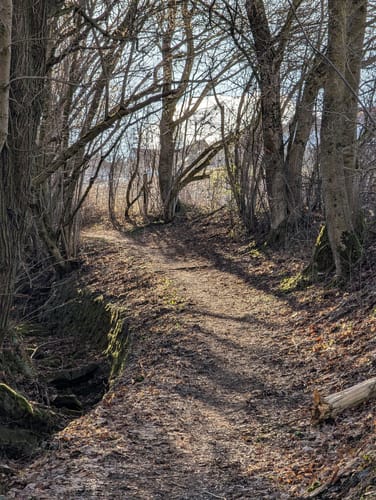 Wald Schloss-Route