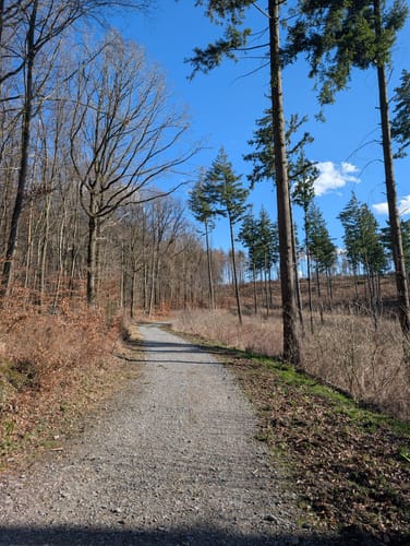 Wald Schloss-Route