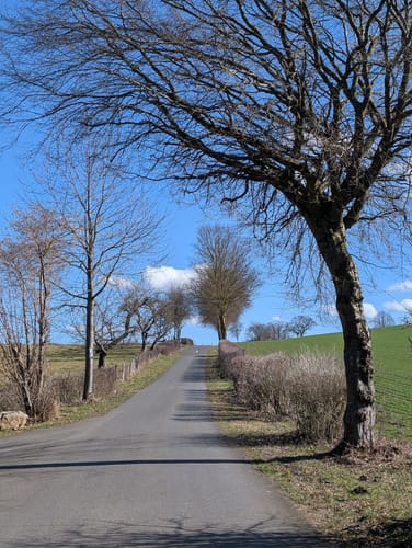 Wald Schloss-Route