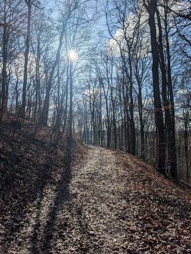 Wald Schloss-Route