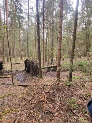 Neunkirchen am Sand: Rundwanderweg Grün 4