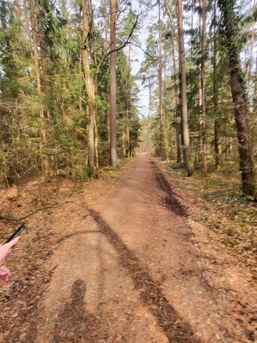 Neunkirchen am Sand: Rundwanderweg Grün 4