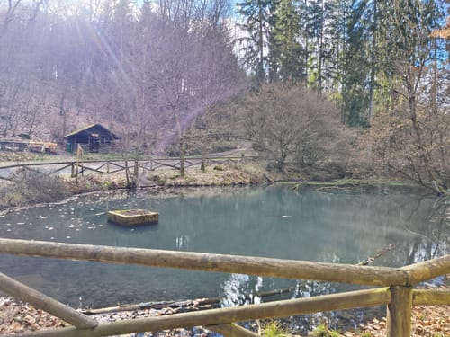 Förstersteig (Traumpfad)