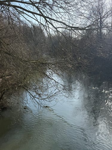 Rund um den Lippesee