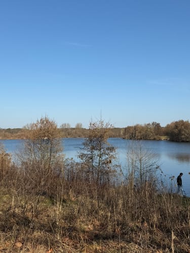 Rund um den Lippesee