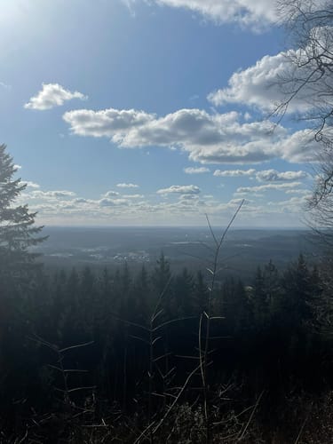 Neunkirchen am Sand: Rundwanderweg Grün 4