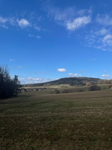 Neunkirchen am Sand: Rundwanderweg Grün 4