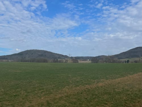 Neunkirchen am Sand: Rundwanderweg Grün 4