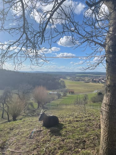 Neunkirchen am Sand: Rundwanderweg Grün 4