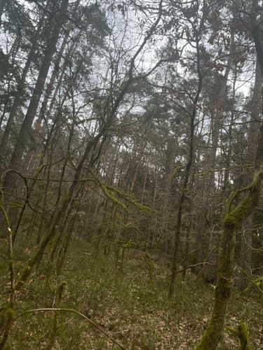 Neunkirchen am Sand: Rundwanderweg Grün 4