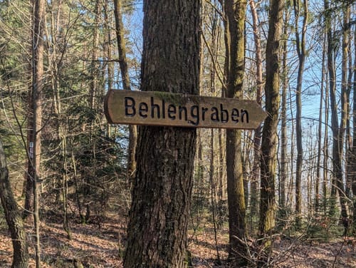 Wildnis-Trail Weiskirchen (Traumschleife)