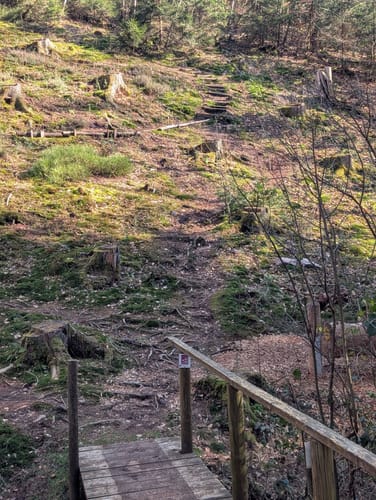 Wildnis-Trail Weiskirchen (Traumschleife)