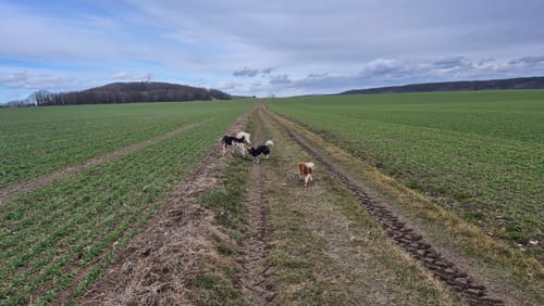 Berggießhübel-Cottaer Spitzberg