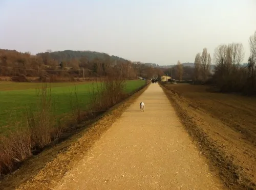 2023 Best Walking Trails in Poggibonsi | AllTrails