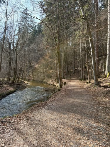 Maisinger Schlucht Rundweg