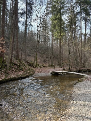 Maisinger Schlucht Rundweg
