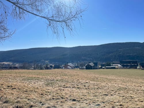 Rittersgrüner Rundwanderung