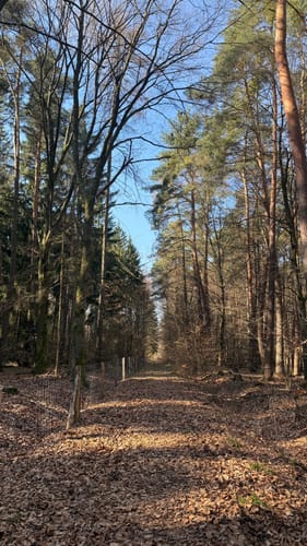 Rundwanderweg Dieburg-Kubigbrücke 2: Hasenböhlweg