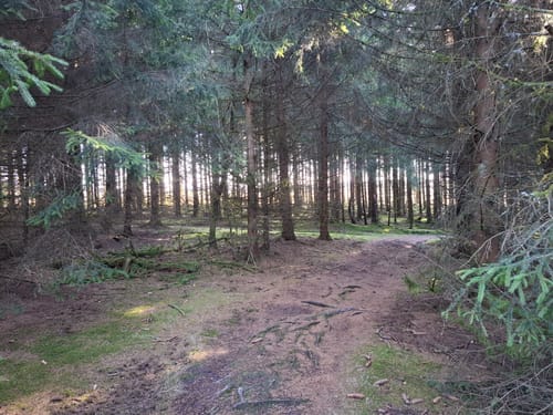 Rothaarsteig Etappe 6: Ginsberger Heide - Lahnhof