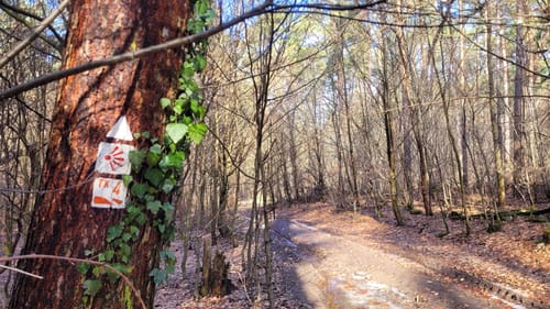 Naturpark Rundwanderweg Tour Nr. 12