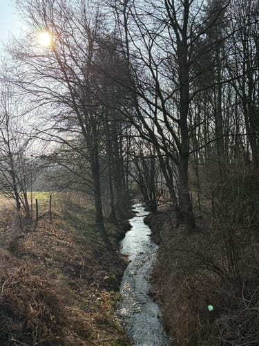 Rund um Tallesee