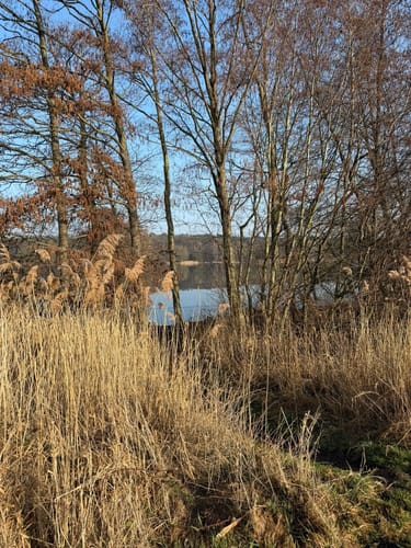 Rund um Tallesee