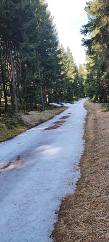 Zum Forsthaus Sattelbach