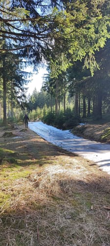 Zum Forsthaus Sattelbach
