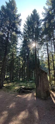 Zum Forsthaus Sattelbach