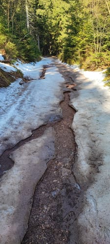 Zum Forsthaus Sattelbach