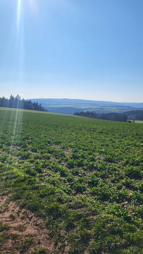 Mit Krebs un Karer unerwäschs (Vitaltour)