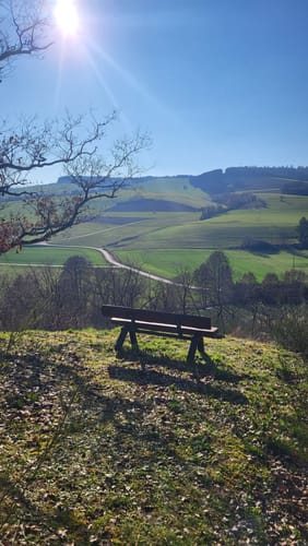 Mit Krebs un Karer unerwäschs (Vitaltour)