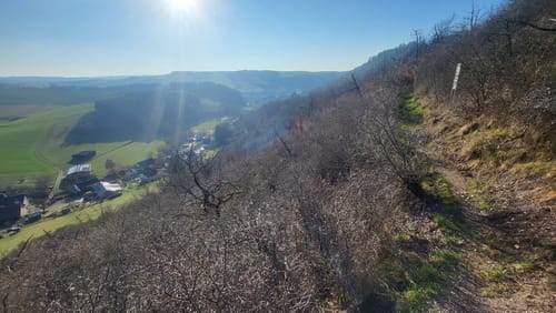 Mit Krebs un Karer unerwäschs (Vitaltour)