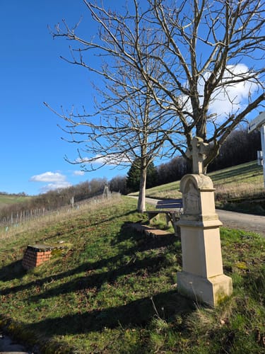 Karlskopf Panoramaweg (Moselsteig Seitensprung)