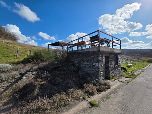 Karlskopf Panoramaweg (Moselsteig Seitensprung)