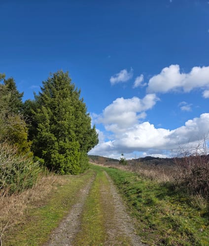 Karlskopf Panoramaweg (Moselsteig Seitensprung)