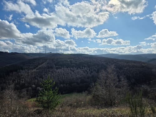 Karlskopf Panoramaweg (Moselsteig Seitensprung)