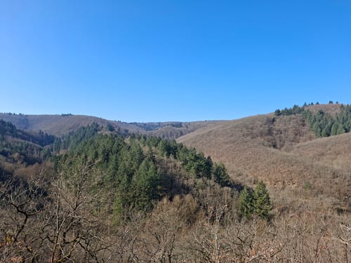 Elfenlay (Traumschleife)