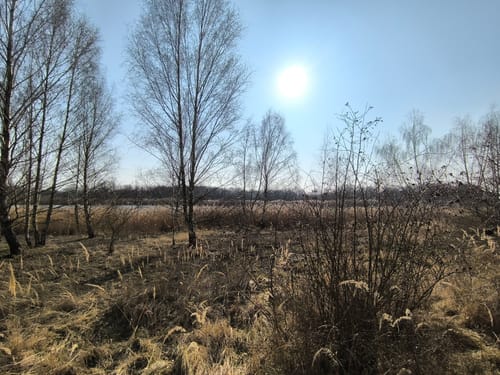 Wallendorfer See und Rassnitzer See