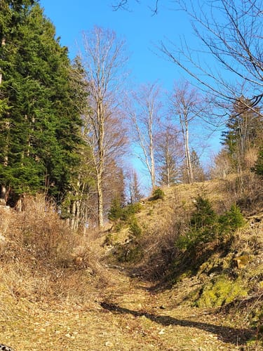 Adersbeger Höhenweg und Herrenalm