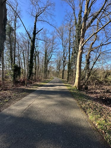 Rundweg A3 Krickenbecker Seen