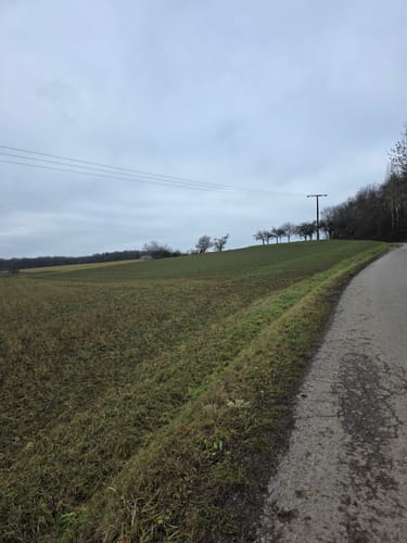 Schweinfurt - Hambach - Zell