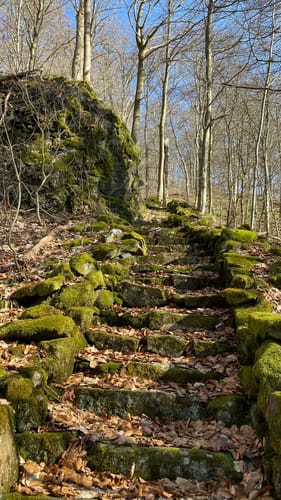 Hoher Meißner P1 (Premiumwanderweg)