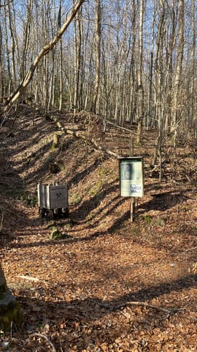 Hoher Meißner P1 (Premiumwanderweg)